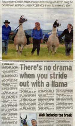 Express and Echo feature